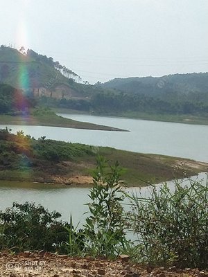 深圳!野钓是一条不归路!——野钓营的心灵笔记