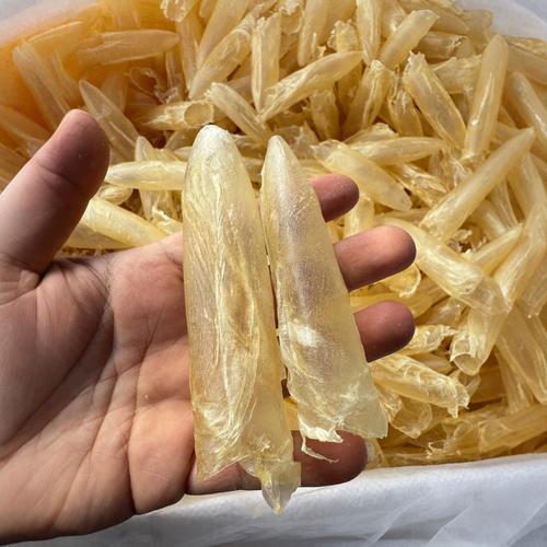 2000平厂房内的野钓营 从生产车间到钓友聚集地的转型样本
