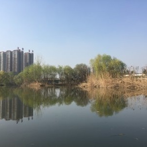 沣河老铁野钓营 心灵与自然的垂钓之旅